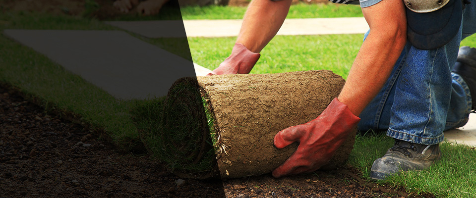 Islandia Landscapers